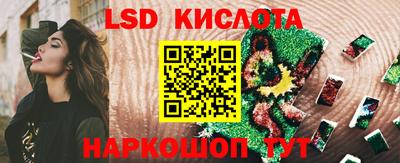 гашик Новодвинск