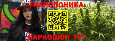 гашик Новодвинск