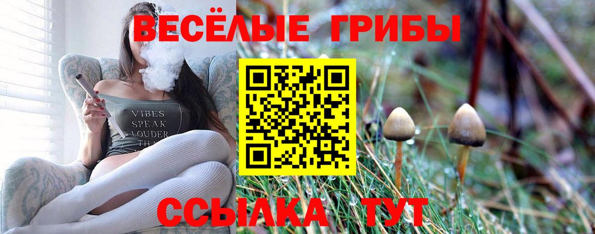 Карпинск  Галлюциногенные грибы MAGIC MUSHROOMS  Вход с VPN 